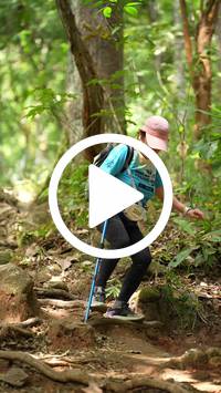 BIB:  <button type="button" onclick="openModal(27587916)" class="btn btn-primary btn-sm float-right" data-toggle="modal" data-target=".modal-high-quality">
                <i class="fa fa-download"></i> Download
                </button>